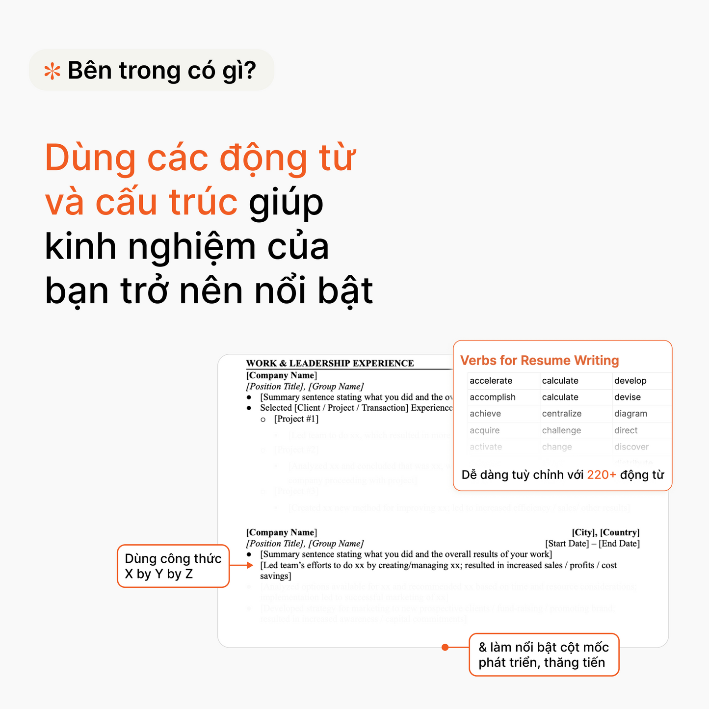 Mẫu Resume tiếng Anh chuyên nghiệp (02 phiên bản)